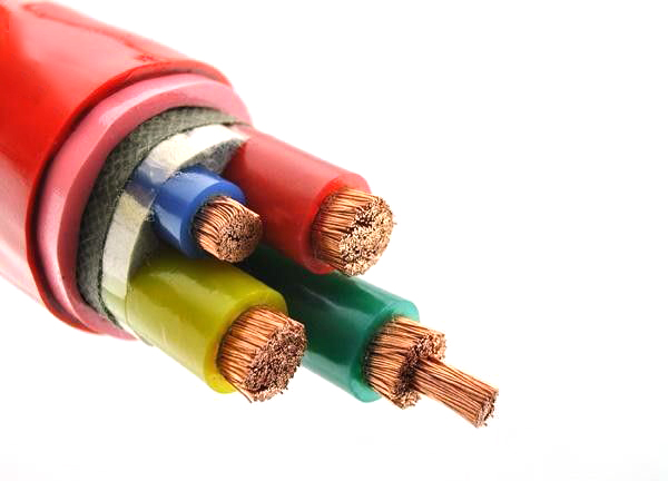 61baf611e1492.jpg 01.jpg